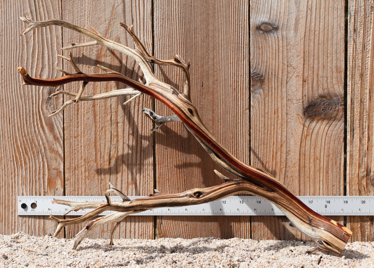 Manzanita #3156 20"x10"x14"