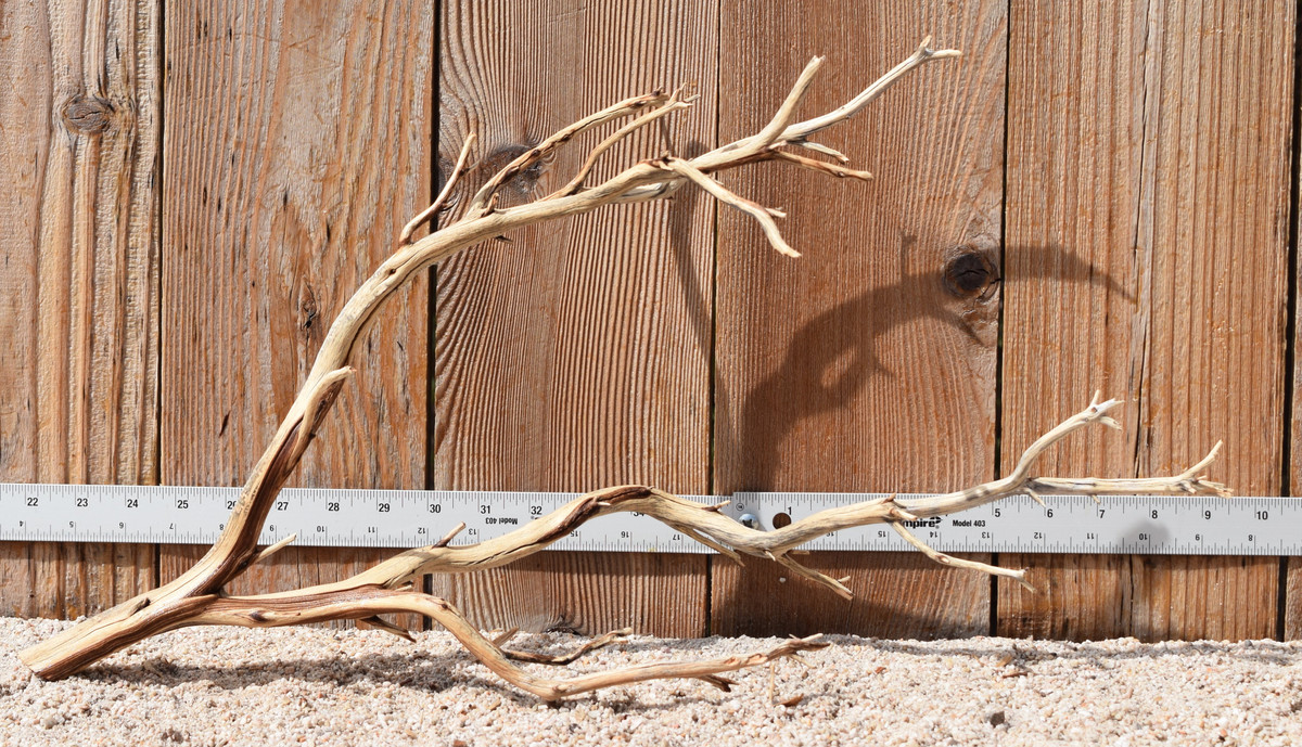 Manzanita #3157 23"x7"x12"