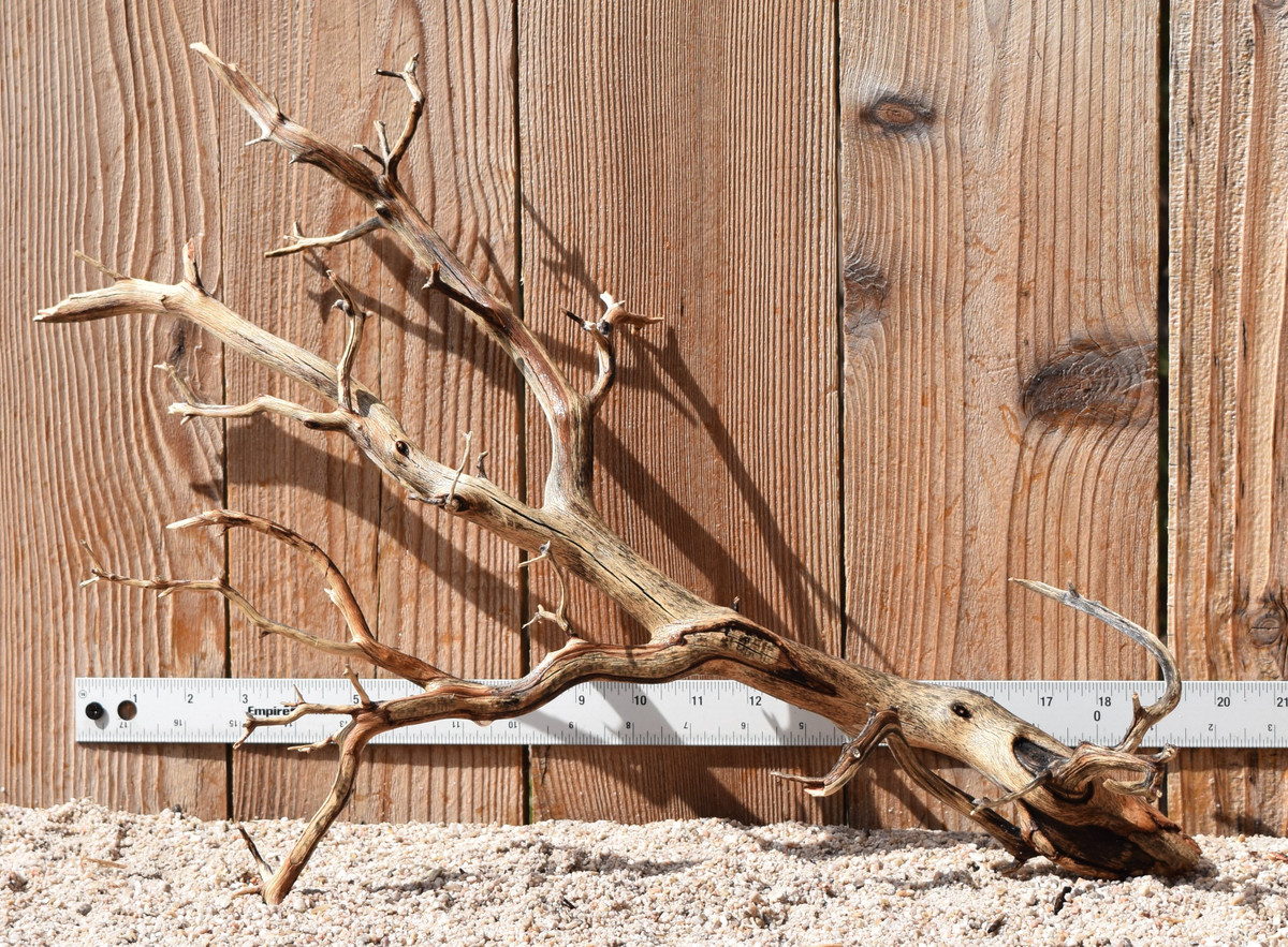 Manzanita #3162 22"x8"x14"