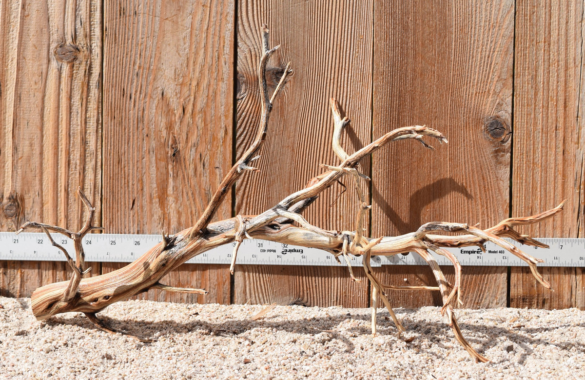 Manzanita #3163 22"x9"x12"