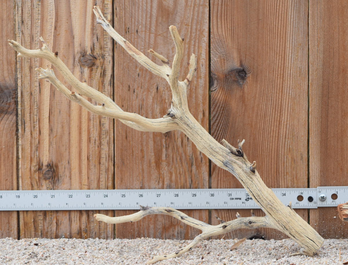 Manzanita #3200 17"x10"x13"