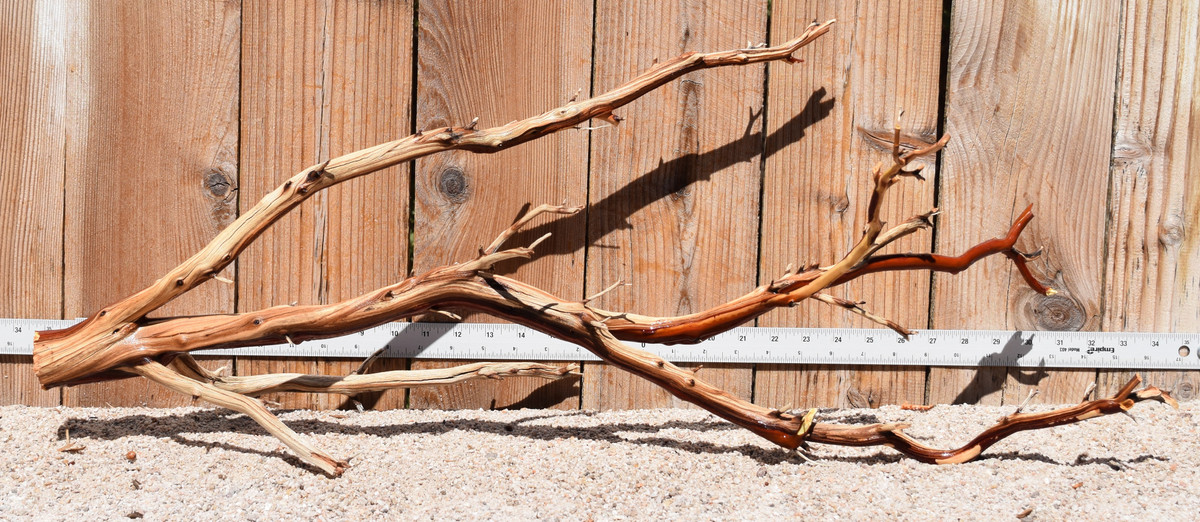 Xlg Manzanita #3578 33"x13"x12"