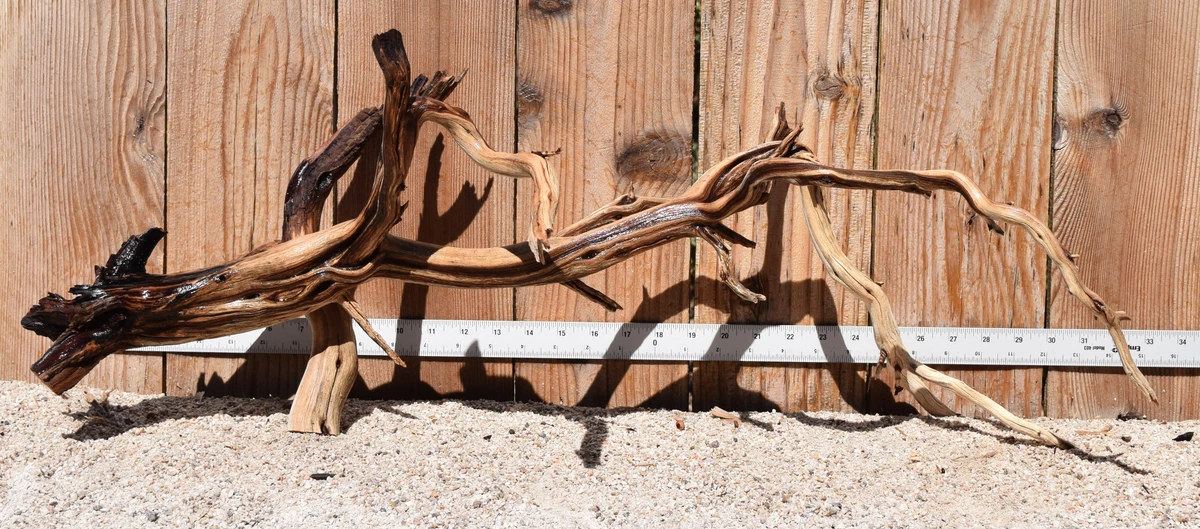Xlg Manzanita #3583 32"x13"x12"