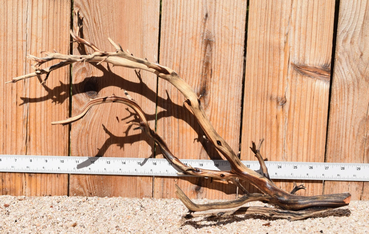 Manzanita #3806 21"x9"x13"