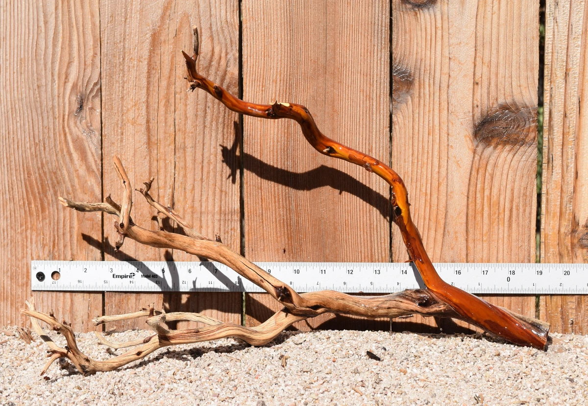 Manzanita #3807 19"x9"x12"
