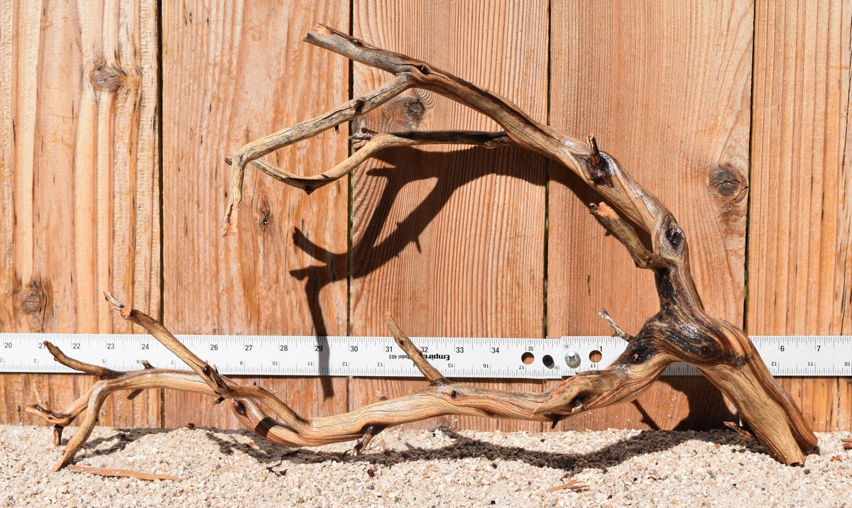 Manzanita #3811 21"x8"x13"
