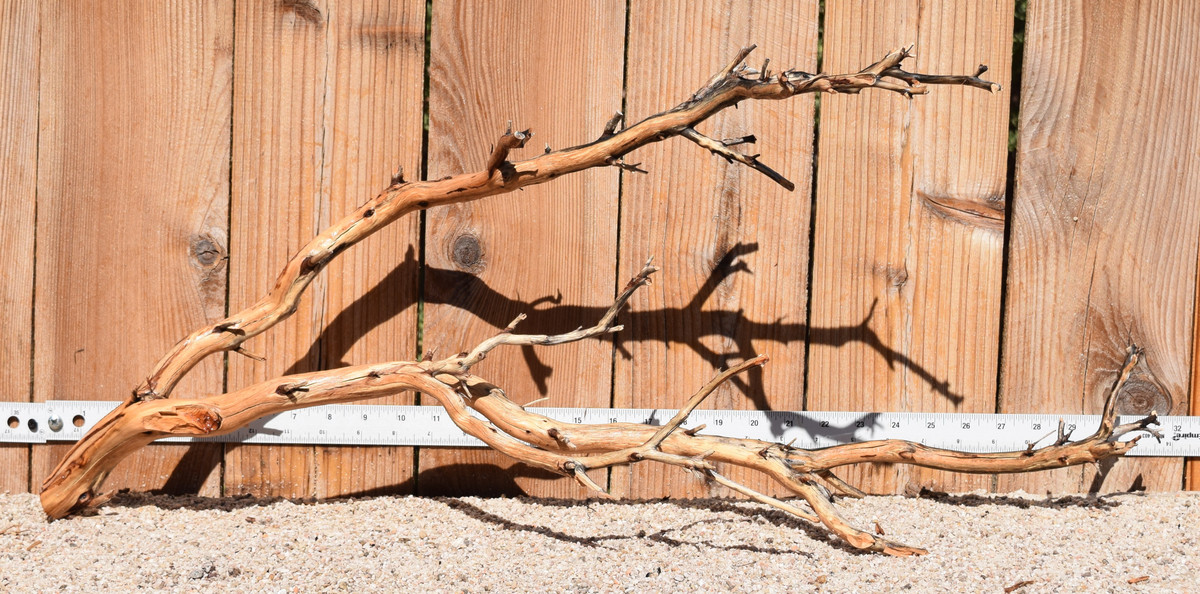 Xlg Manzanita #3846 31"x12"x13"