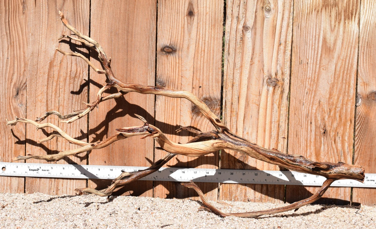 Xlg Manzanita #3849 30"x9"x15"