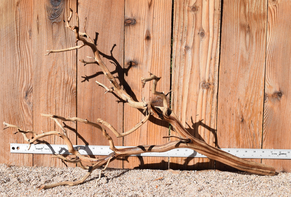Xlg Manzanita #4038 31"x14"x18"