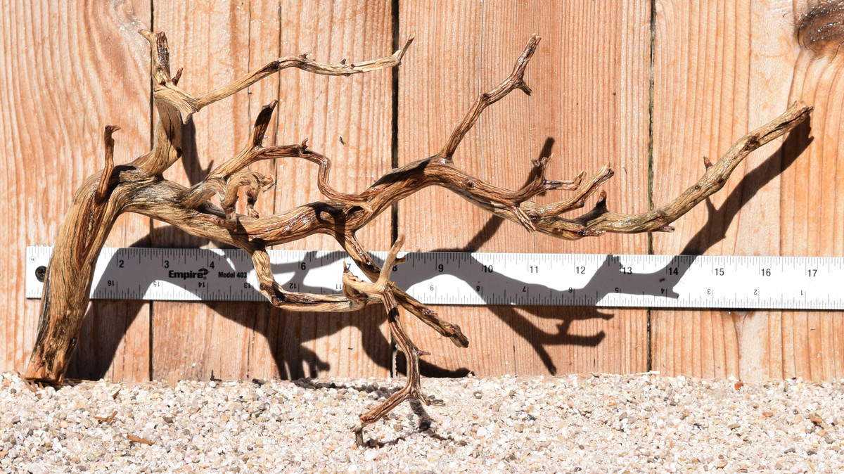 Manzanita #4083 18"x9"x8"