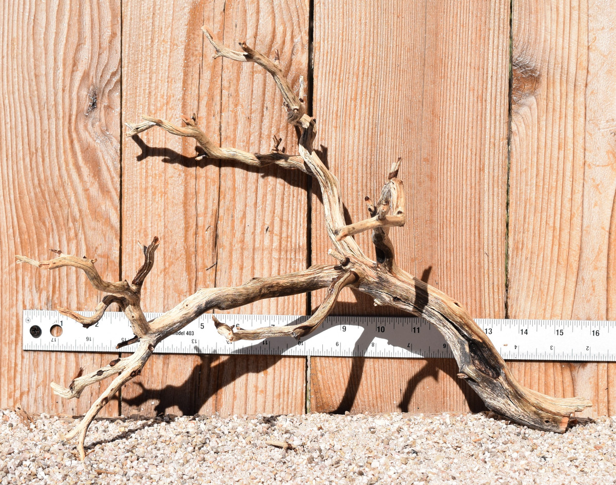 Manzanita #4089 16"x9"x11"