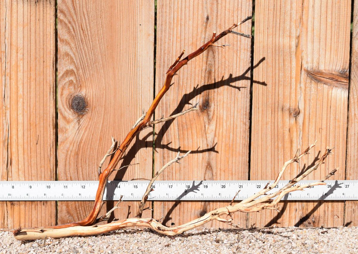 Manzanita #4103 18"x7"x12"