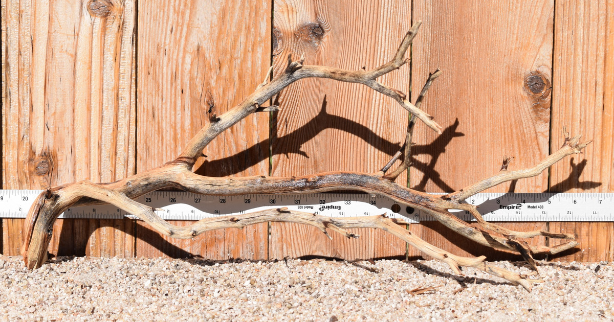 Manzanita #4105 21"x7"x10"
