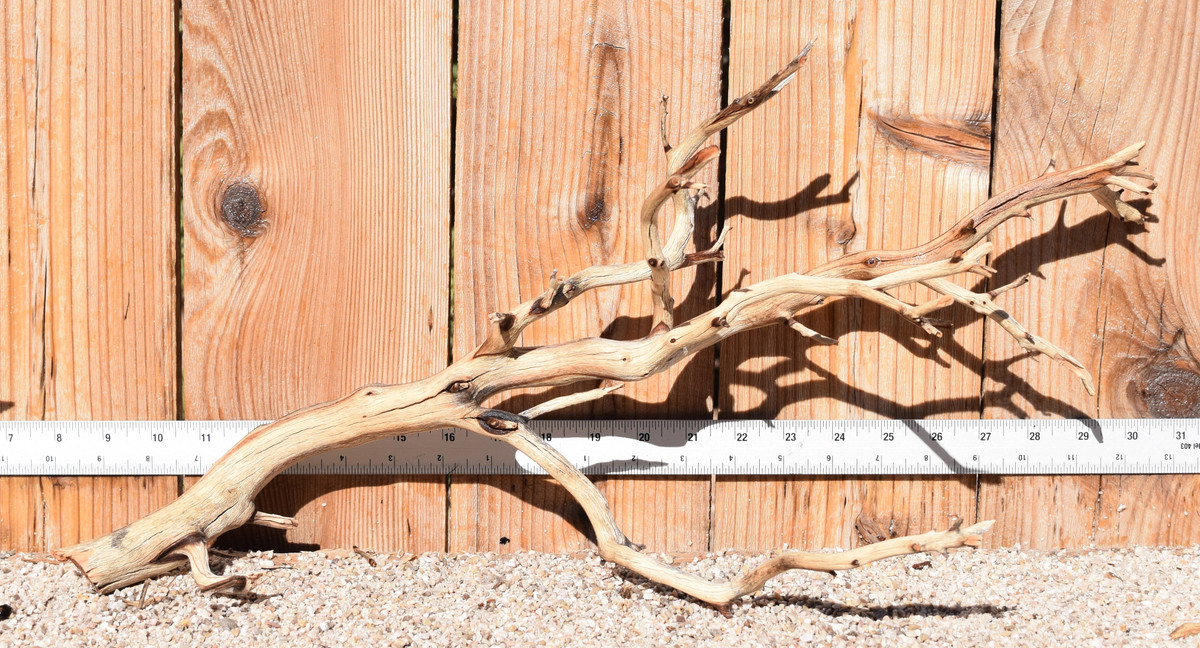 Manzanita #4106 23"x10"x11"