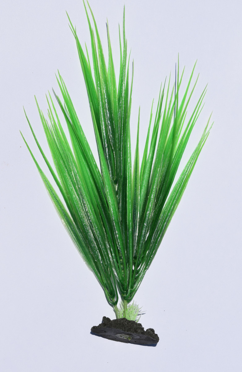 16" Green Spikes