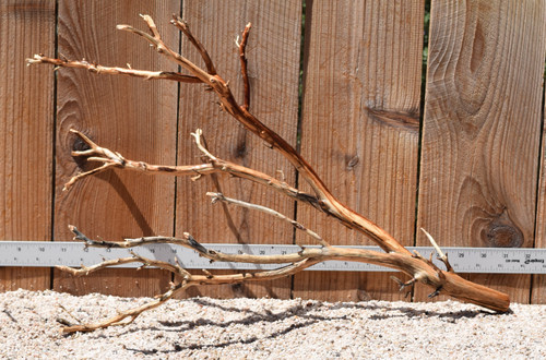 Manzanita #9658 21"x10"x14"