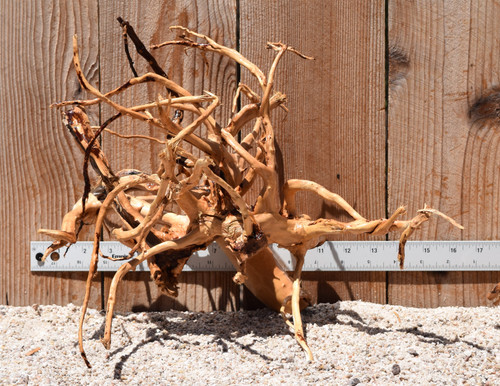 Spiderwood#9781 15"x10"x12"