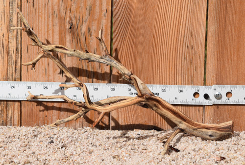 Manzanita #0300 13"x6"x7"