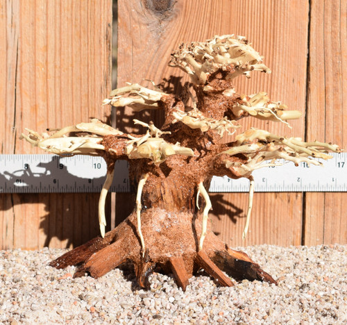 Bonsai Wood 0471 6"x 5"x 4"