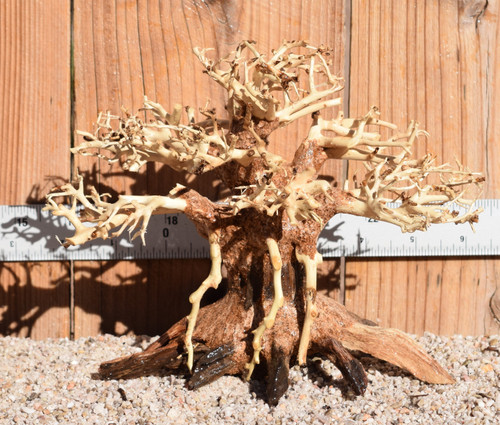 Bonsai Wood 0476 6"x 5"x 4"