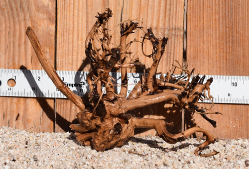 Nano Tigerwood 0530 8"x5"x6"