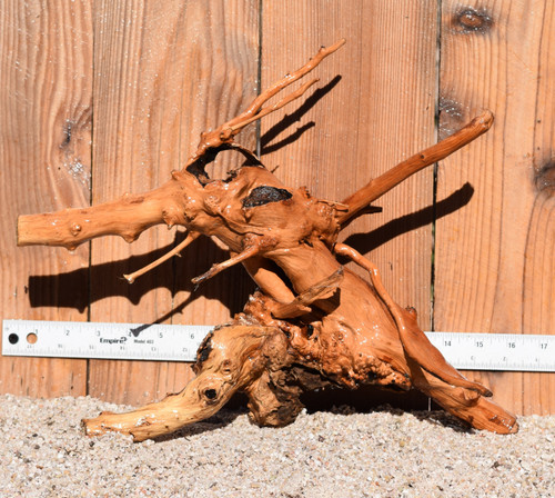 Congo Wood 0612 16"x7"x12"