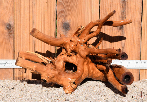 Congo Wood 0614 14"x9"x11"