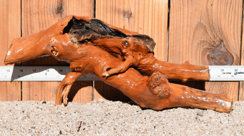 Congo Wood 0618 16"x5"x7"