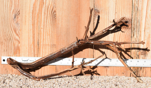 Manzanita #0695 20"x8"x10"