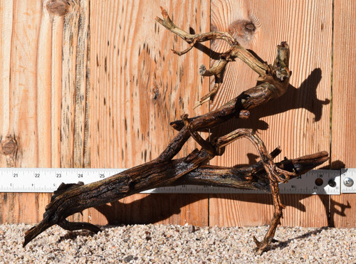 Manzanita #0708 14"x6"x10"