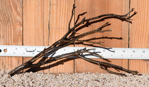 Uncleaned Manzanita 0757 13"x4"x8"