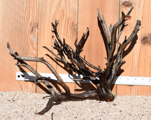 Uncleaned Manzanita 0775 18"x12"x13"