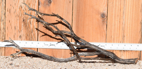 Uncleaned Manzanita 0788 21"x8"x9"