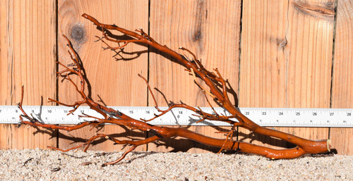 Red Manzanita #0805 19"x7"x9"