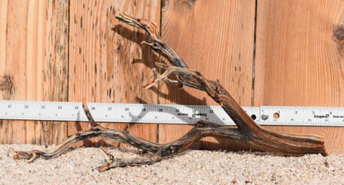 Manzanita #0852 18"x8"x9"