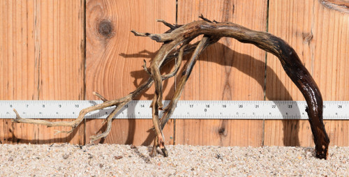 Manzanita #0853 18"x9"x9"