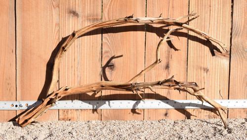 Xlg Manzanita #1300 29"x13"x14"