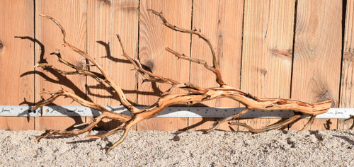 Xlg Manzanita #1302 32"x12"x14"