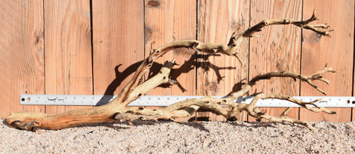 Xlg Manzanita #1309 32"x13"x12"