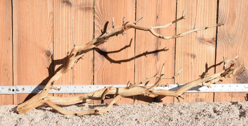 Xlg Manzanita #1310 32"x11"x12"