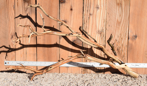 Xlg Manzanita #1311 31"x16"x17"