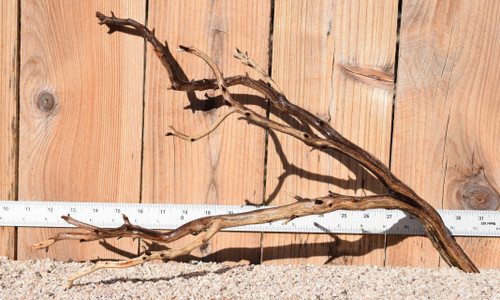 Manzanita #1336 19"x8"x11"