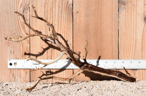 Manzanita #1337 16"x8"x10"