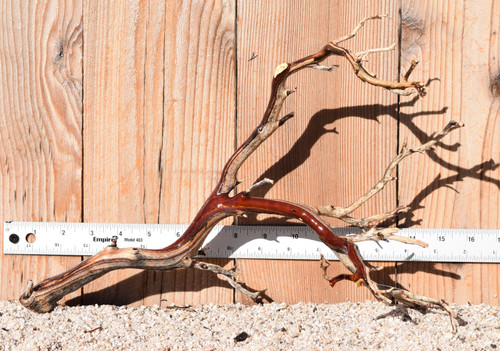 Manzanita #1343 15"x7"x10"