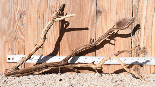 Manzanita #1346 21"x7"x10"