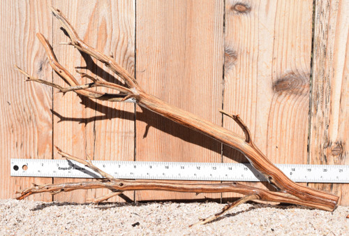 Manzanita #1372 20"x6"x13"