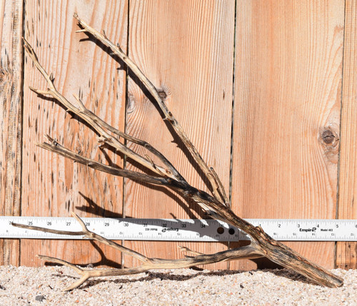 Manzanita #1373 17"x7"x13"