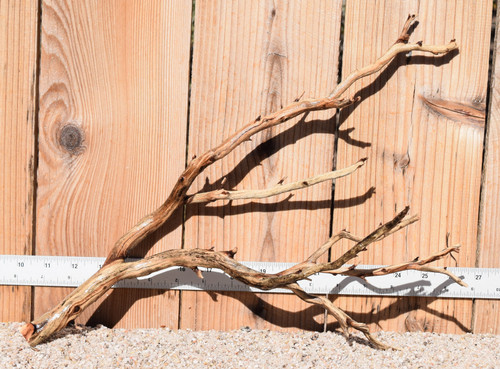 Manzanita #1374 16"x7"x12"