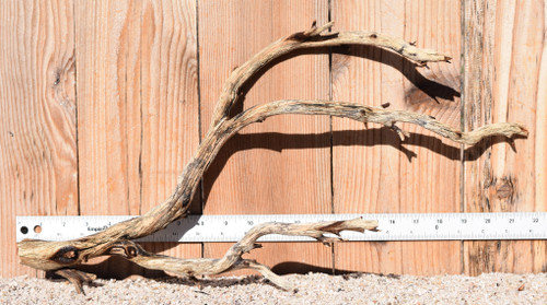 Manzanita #1375 22"x6"x11"