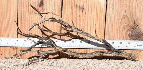 Manzanita #1377 17"x6"x7"